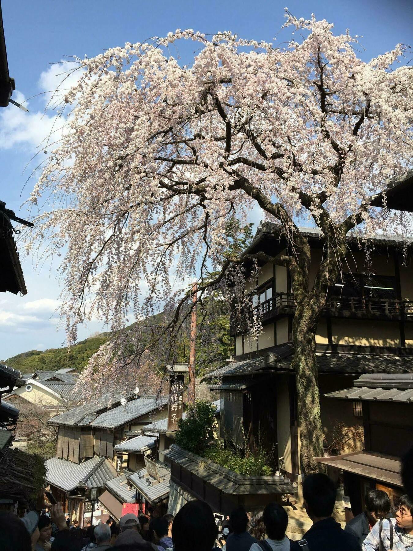 Kotoha Umamachi Hotel