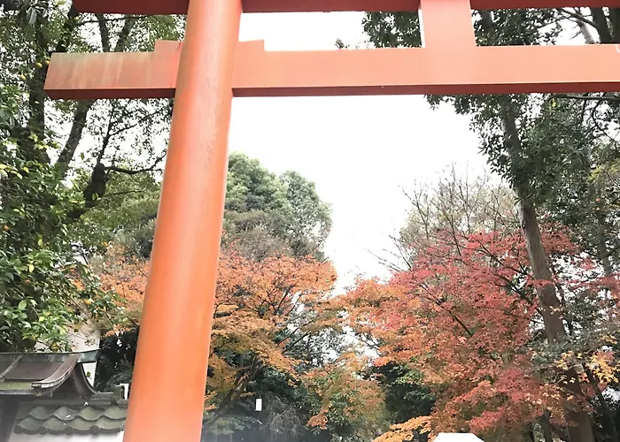 Kotoha Umamachi