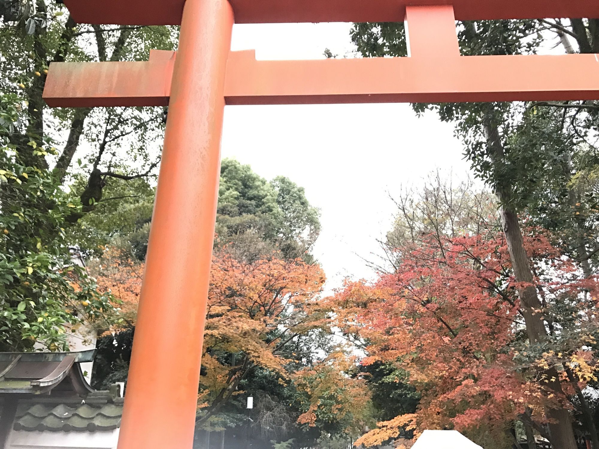 Kotoha Umamachi Kyōto
