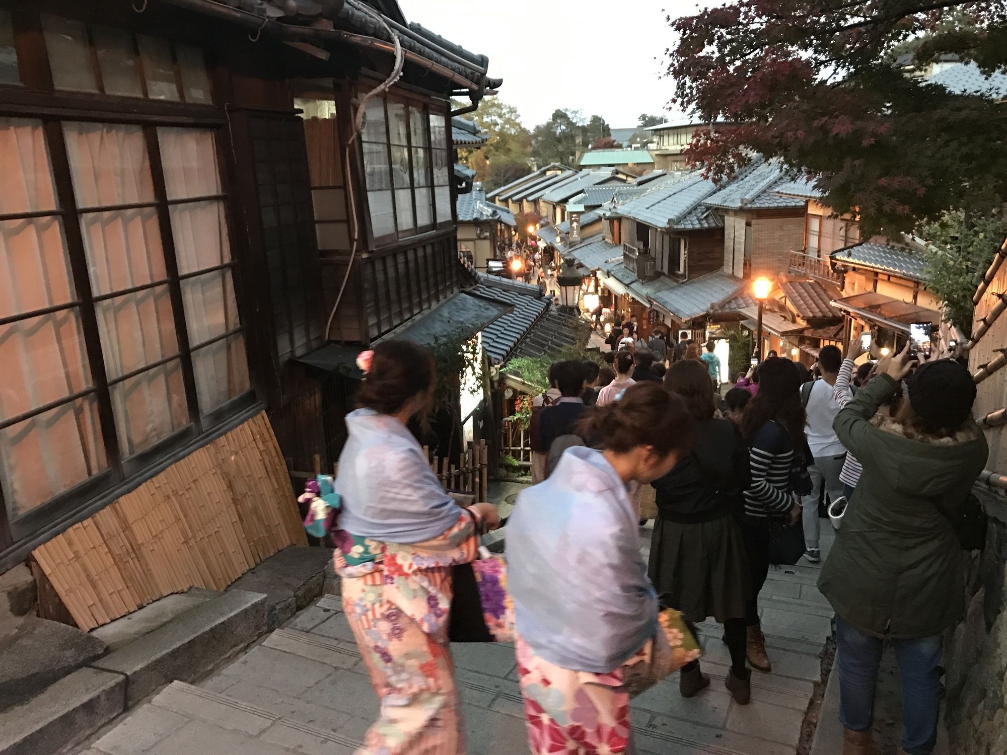 Kotoha Umamachi